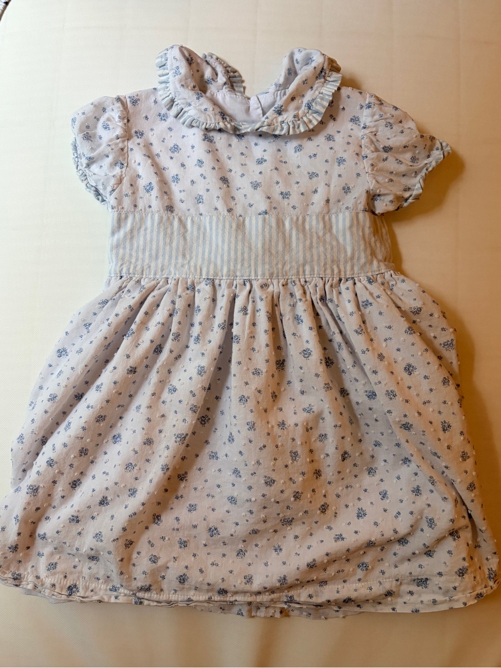 Sal and Pimenta Girls' Blue Floral Ruffle Collar Dress